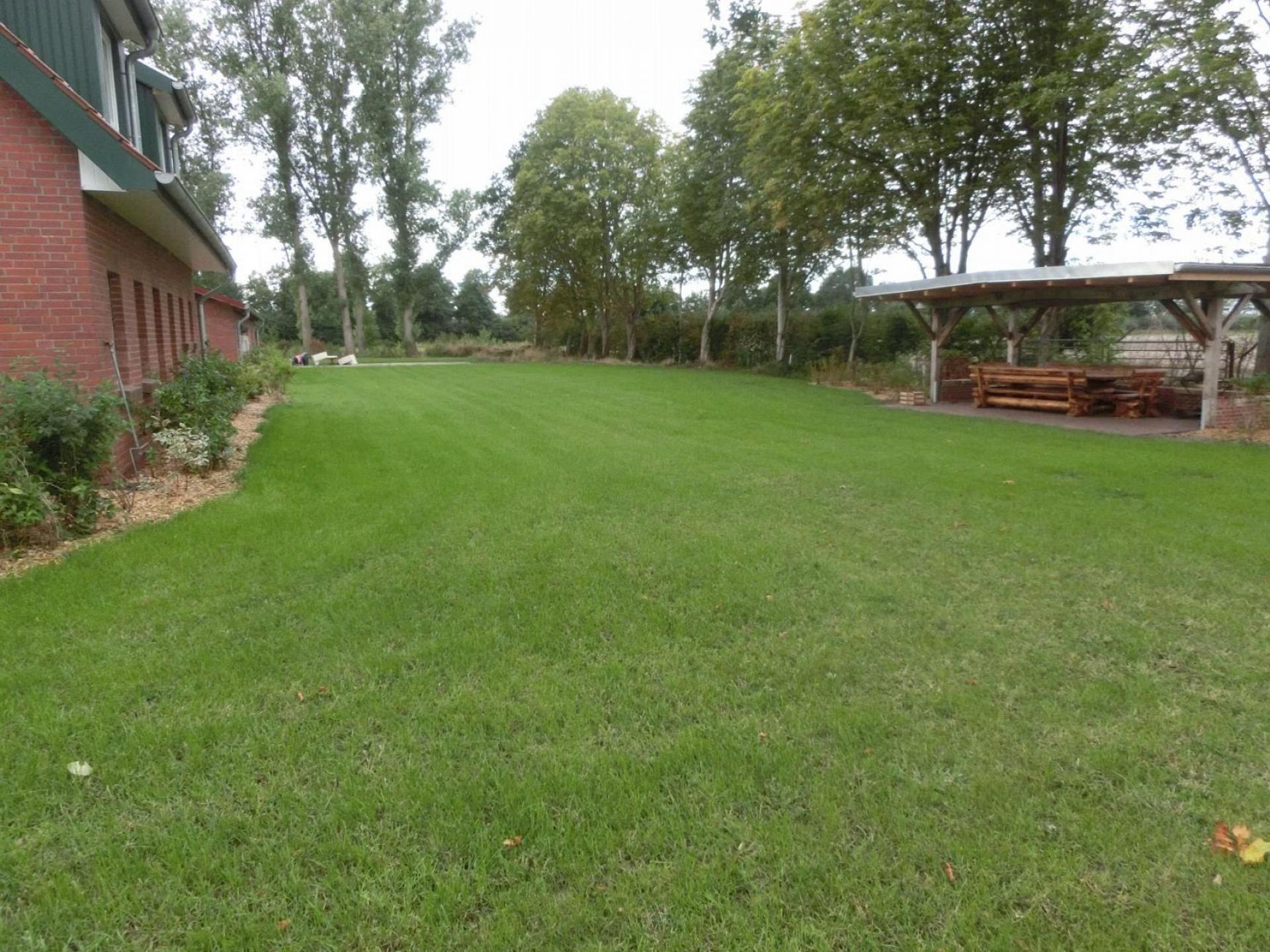 Die Wiese lädt zum S