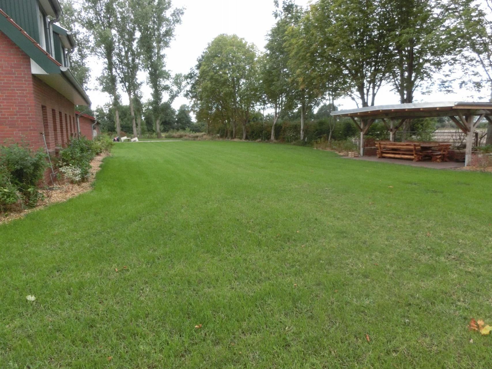 Die Wiese lädt zum S